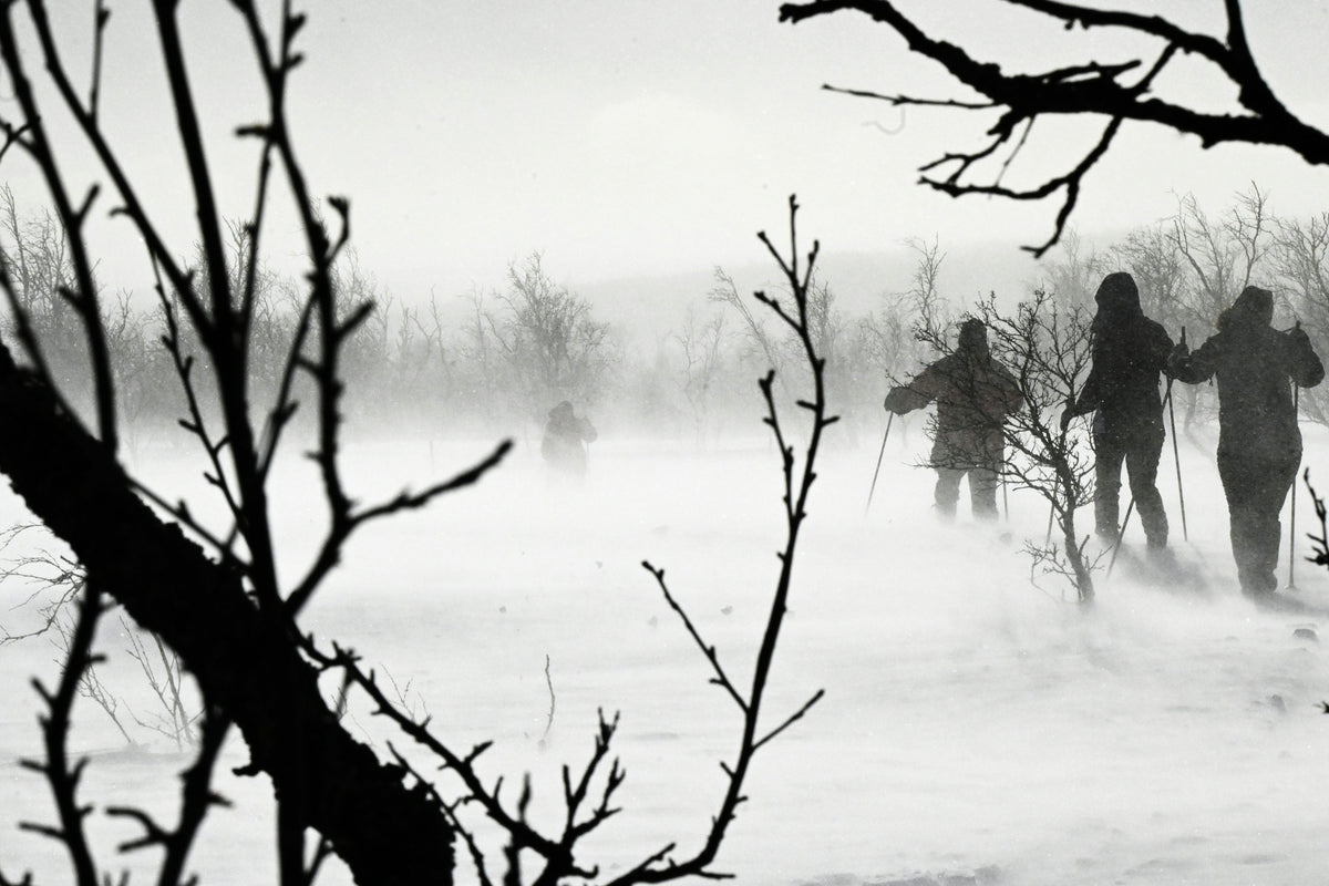 De bedste destinationer til langrend i Sverige